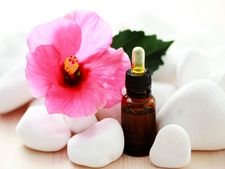 ಕೂದಲಿನ ಅಂದ-ಚಂದಕ್ಕೆ ಮನೆಯಂಗಳದ 'ದಾಸವಾಳ ಹೂವು'