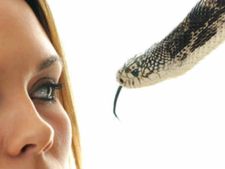 ಅಚ್ಚರಿ ಜಗತ್ತು: ಕನಸಿನಲ್ಲಿ ಹಾವು ಕಾಣಿಸಿಕೊಂಡರೆ ಏನರ್ಥ ಗೊತ್ತೇ? 