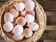 'ಮೊಟ್ಟೆಯ ಚಿಪ್ಪಿನ' ಗುಣ ಗೊತ್ತಾದರೆ, ಬಿಸಾಡಲು ಖಂಡಿತ ಮನಸ್ಸು ಬರಲ್ಲ! 