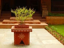 ತ್ವಚೆಯ ಅಂದ-ಚಂದಕ್ಕೆ ಮನೆಯಂಗಳದ 'ತುಳಸಿ' 