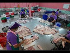 ಥೈಲ್ಯಾಂಡ್‌ನಲ್ಲಿ ಮೊಸಳೆಯ ಚರ್ಮಕ್ಕೆ ಭಾರೀ ಬೇಡಿಕೆಯಂತೆ! ಯಾಕೆ ಗೊತ್ತೇ? 