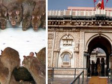 ಅಚ್ಚರಿ! ಈ ದೇವಾಲಯಗಳಲ್ಲಿ ಕಣ್ಣೆದುರಿಗೆಯೇ ನಡೆಯುತ್ತಿದೆ ಪವಾಡಗಳು!  