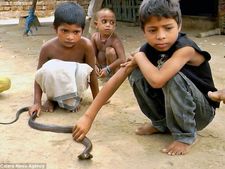 ಈ ಊರಿನಲ್ಲಿ ಹಾವುಗಳೆಂದರೆ ಮನೆಯ ಸದಸ್ಯರಿದ್ದಂತೆ, ಯಾರೂ ಭಯಪಡಲ್ಲ!!   