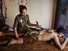 ಈ ಮಸಾಜ್ ಪಾರ್ಲರ್‌ನಲ್ಲಿ ಹಾವುಗಳೇ ಮಸಾಜ್ ಮಾಡುತ್ತವಂತೆ! 