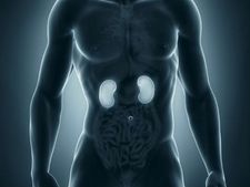 ಕಿಡ್ನಿಯ ಆರೋಗ್ಯದ ದೃಷ್ಟಿಯಿಂದ, ಈ ಐದು ಬಗೆಯ ಆಹಾರಗಳಿಂದ ದೂರವಿರಿ... 