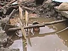 ಮೂರು ದಿನಗಳವರೆಗೆ ಈಕೆ ನೀರಿನಲ್ಲಿಯೇ ಸಿಲುಕಿಬಿಟ್ಟಳು! ಮೈ ಜುಂ ಅನ್ನುತ್ತೆ!!