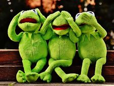 ಗರ್ಭಿಣಿಯರ ಕನಸಲ್ಲಿ ಕಪ್ಪೆ ಬಂದರೆ ಹೀಗೂ ಆಗುವುದು ನೋಡಿ...