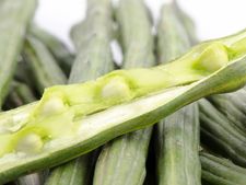 ಚೋಟುದ್ದ ನುಗ್ಗೆಯಲ್ಲಿದೆ ಲೆಕ್ಕಕ್ಕೆ ಸಿಗದ ಆರೋಗ್ಯ ಗುಣಗಳು!