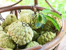 ಸೀತಾಫಲ ತಿಂದರೆ ಶೀತವಾಗುವುದಿಲ್ಲ!, ಭಯಬಿಟ್ಟು ಹೊಟ್ಟೆ ತುಂಬಾ ತಿನ್ನಿ... 