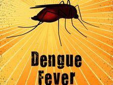ಡೆಂಗ್ಯೂ- ಚಿಕನ್ ಗುನ್ಯಾದ ಈ ವಿಷ್ಯವನ್ನು ಪ್ರತಿಯೊಬ್ಬರೂ ತಿಳಿಯಲೇ ಬೇಕು