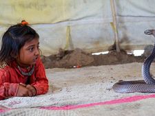  ಈ ಗ್ರಾಮದ ಜನರು ಹಾವಿನೊಂದಿಗೆ ವಾಸಿಸುತ್ತಾರೆ! ಅದರೊಟ್ಟಿಗೆಯೇ ಆಟವಾಡುತ್ತಾರೆ!!   