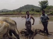 ಕೀಕಿ ಚಾಲೆಂಜ್ ನ ವಿಡಿಯೋ- ನಕ್ಕು-ನಕ್ಕು ಸಾಕಾಗುತ್ತದೆ!! 