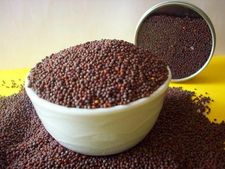 ಸ್ವಲ್ಪ ಹಸಿ ಸಾಸಿವೆ ಜಗಿಯಬೇಕಂತೆ- ಆರೋಗ್ಯಕ್ಕೆ ಬಾರಿ ಒಳ್ಳೆಯದಂತೆ! 