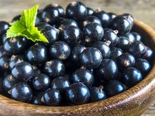 ನೇರಳೆ ಹಣ್ಣು: ರುಚಿಗಷ್ಟೇ ಅಲ್ಲ, ಅನೇಕ ಕಾಯಿಲೆ ನಿವಾರಿಸುವ ಔಷಧಿಯೂ ಹೌದು!   