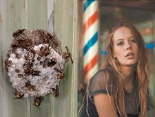 ಕೆಲವು ಮಹಿಳೆಯರು ಯೋನಿ ಬಿಗಿಗೊಳಿಸಲು ಕಣಜದ ಗೂಡು ಬಳಸುತ್ತಾರಂತೆ!  