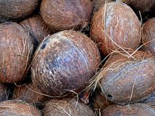 ಜೀವನದಲ್ಲಿ ಶಾಂತಿ ಸಂಪತ್ತು ಮತ್ತು ಸಮೃದ್ಧಿ ಹೆಚ್ಚಿಸಲು, ದೇವರ ಕೋಣೆಯ ಎದುರು ತೆಂಗಿನಕಾಯಿ ಇಟ್ಟು ಪೂಜೆ ಮಾಡಿ!  