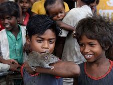 ಬಿಹಾರದಲ್ಲಿನ ಸಮುದಾಯವೊಂದು ಎರಡು ಹೊತ್ತಿನ ಊಟ ಸಿಗದೇ, ಇಲಿಗಳನ್ನು ತಿಂದು ಬದುಕುತ್ತಿದ್ದಾರಂತೆ! 