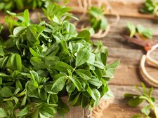 ಮೊಡವೆಯ ಕಲೆಗಳನ್ನು ನಿವಾರಿಸಲು ಮೆಂತೆ ಸೊಪ್ಪಿನ ಫೇಸ್ ಪ್ಯಾಕ್ 