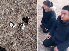 ಆತ್ಮಗಳ ವಿವಾಹ ಮಾಡುವುದಕ್ಕೆ ಸ್ಮಶಾನದಿಂದಲೇ ಹುಡುಗಿಯ ಶವ ತಗೊಂಡು ಹೋದರಂತೆ! 