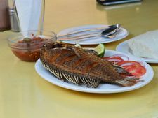 ಸಮುದ್ರ ಖಾದ್ಯ ಸೇವಿಸಿದರೆ, ಪುರುಷರ ಫಲವತ್ತತೆ ಹೆಚ್ಚಾಗುವುದು  