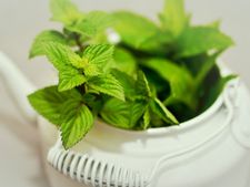 ಪುದೀನಾ ಎಲೆಗಳ ಸೇವನೆಯಿಂದ ಇಂತಹ ಕಾಯಿಲೆಗಳನ್ನೆಲ್ಲಾ ನಿಯಂತ್ರಿಸಬಹುದು!   