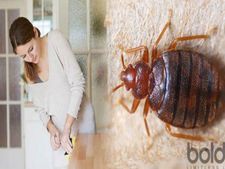 ತಿಗಣೆಕಾಟ :ಸುಲಭವಾಗಿ ನಿವಾರಿಸಲು 10 ಪರಿಣಾಮಕಾರಿ ಮನೆಮದ್ದುಗಳು