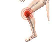 ಮೂಳೆಗಳ ಗಾಯಾಳು ಸಮಸ್ಯೆಗೆ ಗಿಡಮೂಲಿಕೆ ಪರಿಹಾರಗಳು   