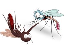 ಡೆಂಗ್ಯೂ ಜ್ವರಕ್ಕೆ ಚಿಕಿತ್ಸೆ ಹಾಗೂ ಪರಿಣಾಮಕಾರಿ ಮನೆಮದ್ದುಗಳು 