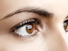 Foods for Eyesight Improvement : ಕಣ್ಣಿನ ದೃಷ್ಟಿ ಸುಧಾರಿಸಲು ಅತ್ಯುತ್ತಮ ಆಹಾರಗಳಿವು