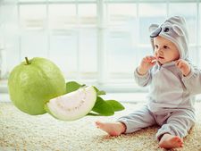 ಮಗುವಿಗೆ ಸೀಬೆ ಹಣ್ಣು  ತಿನಿಸಿದರೆ ಇಷ್ಟೆಲ್ಲಾ ಪ್ರಯೋಜನಗಳಿವೆ ನೋಡಿ