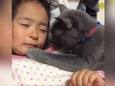 ವೈರಲ್ ವೀಡಿಯೋ:  ಅಳಬೇಡ ಮಗುವೆ ನಾನಿರುವೆ ನಿನಗಾಗಿ