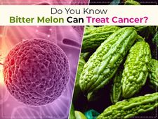 ಹಾಗಲಕಾಯಿ ತಿಂದು ಕ್ಯಾನ್ಸರ್‌ ಕಣ ಇಲ್ಲವಾಗಿಸಬಹುದು