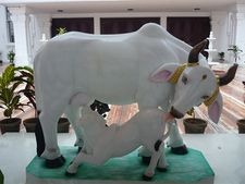 ಮನೆಯಲ್ಲಿ ಕಾಮಧೇನು ವಿಗ್ರಹ  ಇಡುವುದರ ಹಿಂದಿರುವ ಮಹತ್ವ