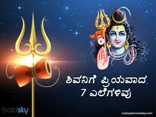 ಶಿವಪೂಜೆಯಲ್ಲಿ ಈ 7 ಎಲೆಗಳನ್ನು ಅರ್ಪಿಸಿದರೆ  ಇಷ್ಟಾರ್ಥ ನೆರವೇರುವುದು