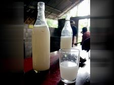 ಆರೋಗ್ಯದ ಕಿಕ್‌ ಹೆಚ್ಚಿಸುತ್ತೆ ನೀರಾ