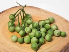 ಟರ್ಕಿಬೆರ್ರಿ(ಸುಂಡೆಕಾಯಿ) ಎಷ್ಟೊಂದು ಪ್ರಯೋಜನಕಾರಿ ಗೊತ್ತಾ?