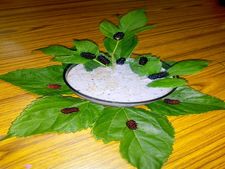 ಎಲ್ಲರಿಗೂ ರುಚಿಸೋ ಮಲ್ಬೆರಿ ಮಿಲ್ಕ್ ಶೇಕ್ 