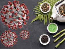 ಯಶಸ್ವಿಯಾದ ಡಾ. ಗಿರಿಧರ್ ಕಜೆಯವರ ಆಯುರ್ವೇದ ಔಷಧಿ : ಗುಣಮುಖರಾದ ಕೊರೊನಾ ಸೋಂಕಿತರು