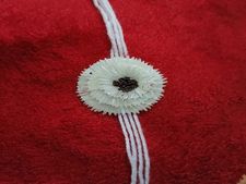  ಬೀಜಗಳನ್ನು ಹಾಕಿ ರಾಖಿ ಮಾಡಿ, ಅಣ್ಣ ತಂಗಿ ಬಾಂಧವ್ಯ ಗಿಡ ಸಾಕ್ಷಿಯಾಗುತ್ತವೆ: ಇಲ್ಲಿದೆ ವೀಡಿಯೋ