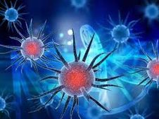 ಮಲೇಷ್ಯಾದಲ್ಲಿ ಹೊಸ ತಳಿಯ ಕೊರೊನಾವೈರಸ್, ಇದು 10 ಪಟ್ಟು ಅಧಿಕ ಅಪಾಯಕಾರಿ, ಲಸಿಕೆಗೂ ಬಗ್ಗಲ್ಲ