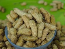 ಗರ್ಭಿಣಿಯರು, ಹೃದಯದ ಕಾಳಜಿಗೆ ಬೇಯಿಸಿದ ಕಡಲೆಕಾಯಿ ಆರೋಗ್ಯದ ಗಣಿಯಂತೆ