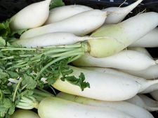 ಚಳಿಗಾಲದಲ್ಲಿ ಮೂಲಂಗಿ ತಿನ್ನುವುದರಿಂದ ಈ 5  ಲಾಭಗಳಿವೆ