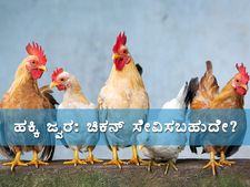 ಹಕ್ಕಿ ಜ್ವರ: ಈ ಸಮಯದಲ್ಲಿ ಚಿಕನ್, ಮೊಟ್ಟೆ ತಿನ್ನಬಹುದೇ?