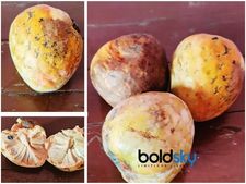 ರಾಂಫಲ ಹಣ್ಣು ತಿಂದ್ರೆ ದೇಹಕ್ಕೆ ಎಷ್ಟೆಲ್ಲಾ ಒಳ್ಳೆಯದು ಗೊತ್ತಾ? 