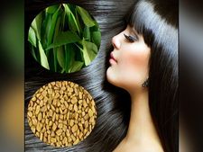 ಕೂದಲು ಉದುರುತ್ತಿದೆಯೇ? ಮೆಂತೆ ಹಾಗೂ ಕರಿಬೇವಿನಿಂದ ಈ ರೀತಿ ಟ್ರೈ ಮಾಡಿದ್ದೀರಾ?