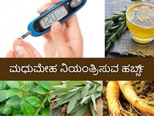 ಮಧುಮೇಹ  ಪರಿಣಾಮಕಾರಿಯಾಗಿ ನಿಯಂತ್ರಣದಲ್ಲಿಡುತ್ತೆ ಈ ಹರ್ಬ್ಸ್