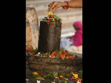 ಶ್ರಾವಣ ಮಾಸ: ಇಷ್ಟಾರ್ಥ ಸಿದ್ಧಿಗಾಗಿ ಶಿವನಿಗೆ ಯಾವ ಹೂವನ್ನು ಅರ್ಪಿಸಬೇಕು?