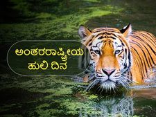 ಅಂತಾರಾಷ್ಟ್ರೀಯ ಹುಲಿ ದಿನ: ಕಾಡಿನ ರಾಜನ ಉಳಿಸುವ ಶಪಥ ಮಾಡಲೇಬೇಕು..