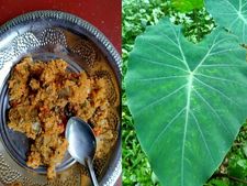 ಕೆಸುವಿನ ಎಲೆ: ಪತ್ರೊಡೆ ತಿಂದ್ರೆ  ಇಷ್ಟೆಲ್ಲಾ  ಪ್ರಯೋಜನಗಳಿವೆ