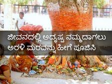 ಜೀವನದಲ್ಲಿ ಅದೃಷ್ಟ ನಮ್ಮದಾಗಲು ಅರಳಿ ಮರವನ್ನು ಹೀಗೆ ಪೂಜಿಸಿ